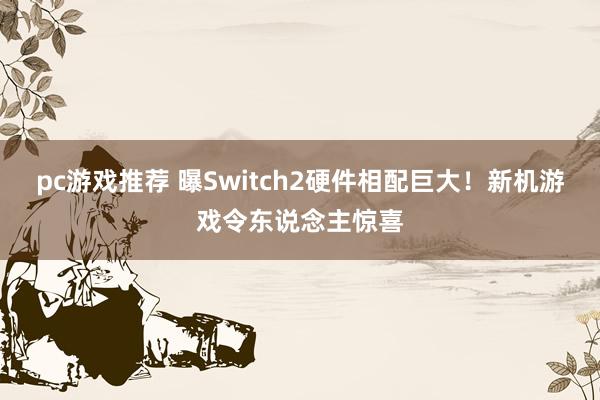 pc游戏推荐 曝Switch2硬件相配巨大！新机游戏令东说念主惊喜