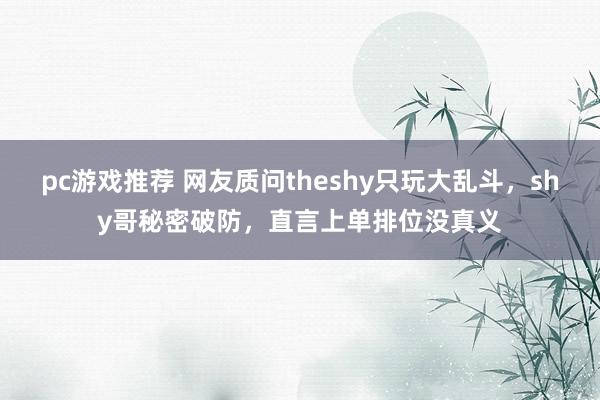 pc游戏推荐 网友质问theshy只玩大乱斗，shy哥秘密破防，直言上单排位没真义