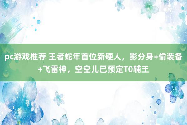 pc游戏推荐 王者蛇年首位新硬人，影分身+偷装备+飞雷神，空空儿已预定T0辅王