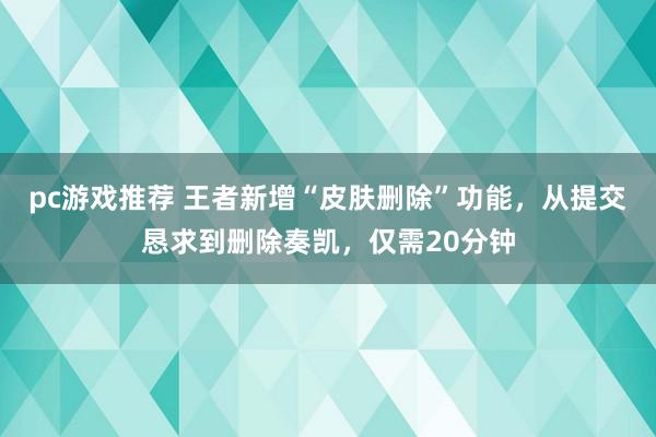 pc游戏推荐 王者新增“皮肤删除”功能，从提交恳求到删除奏凯，仅需20分钟