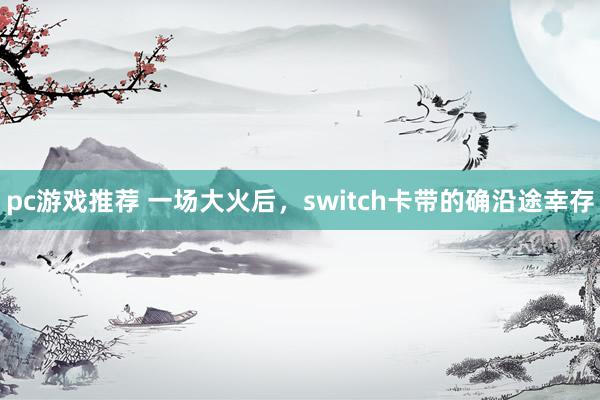 pc游戏推荐 一场大火后，switch卡带的确沿途幸存