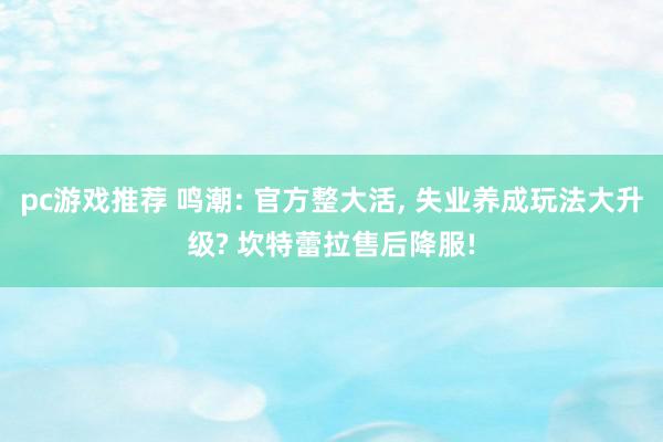 pc游戏推荐 鸣潮: 官方整大活, 失业养成玩法大升级? 坎特蕾拉售后降服!